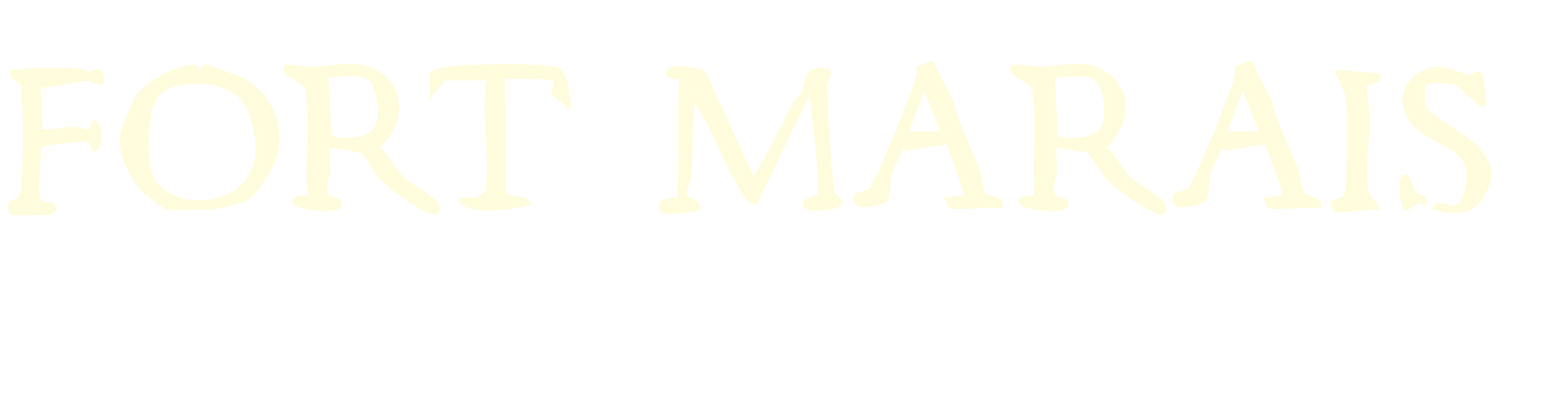 Fort Marais